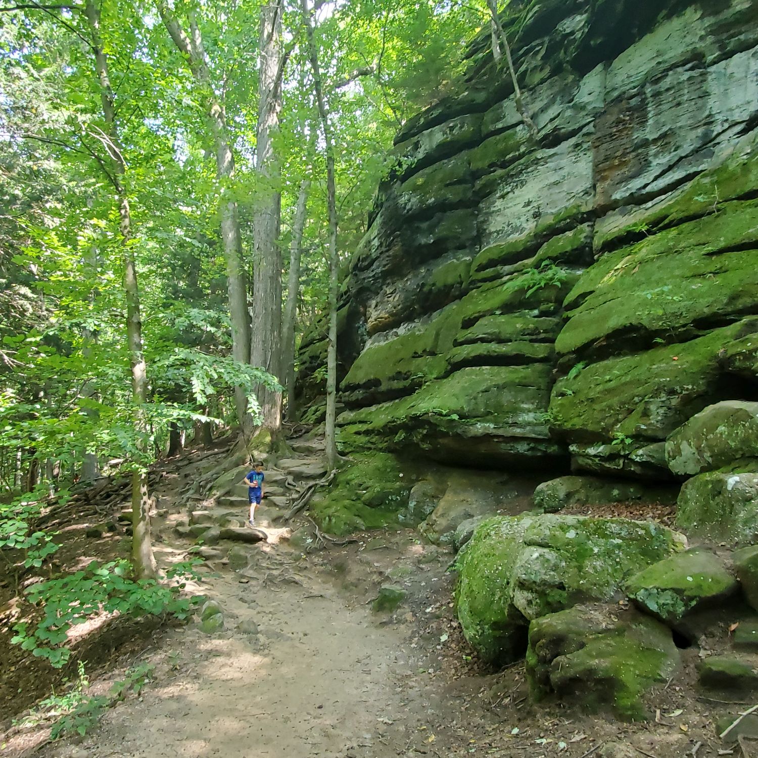 Ledges and Pine Grove Trails 